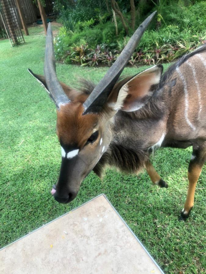 Hotel Jock Of The Bushveld à Barberton Extérieur photo