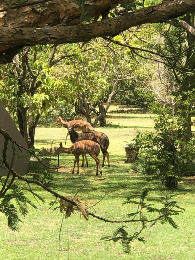 Hotel Jock Of The Bushveld à Barberton Extérieur photo